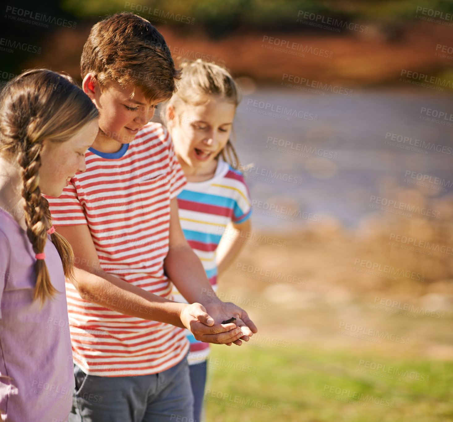 Buy stock photo Children, friends and excited in nature with frog, discovery and adventure together in park. Young girls, boy and animal outdoors for environment, biodiversity and education with happiness for fun