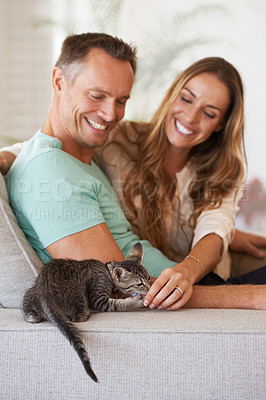 Buy stock photo Man, woman and happiness with kitten and pet love, support and care with trust, playful and relax on sofa at family home. Couple with cat, kindness and affection with animal on couch for adoption
