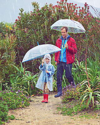 Buy stock photo walking, umbrella and nature with a father and child outdoor for family fun, happiness and quality time. Man and boy kid on adventure with water drops, freedom and play for learning in a garden