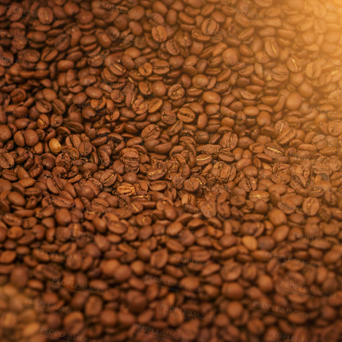 Buy stock photo Coffee beans, closeup and product with natural source for export, trading or flavor with sustainability. Caffeine, supply chain and manufacturing with zoom, industry and logistics for distribution