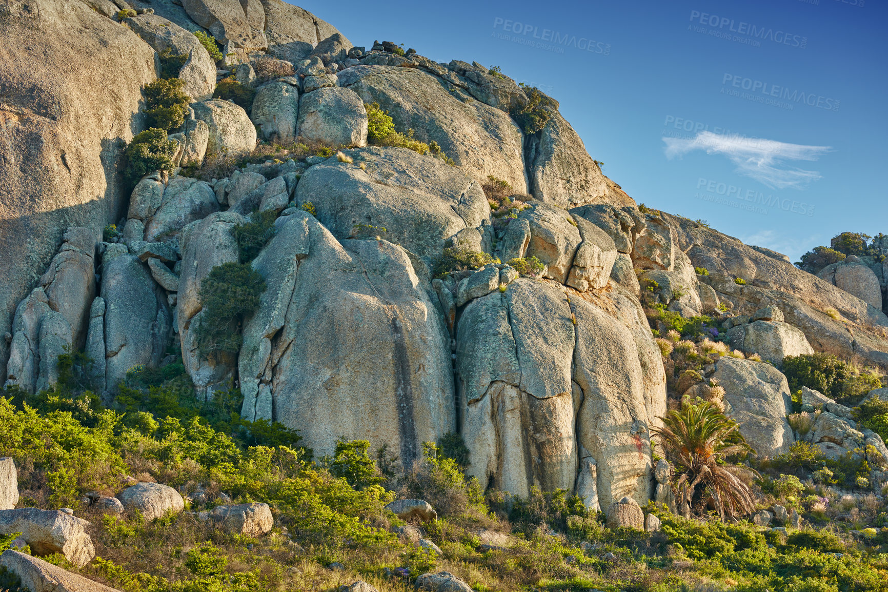 Buy stock photo Nature surrounding the city of Cape Town, South Africa