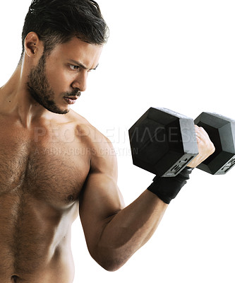 Buy stock photo Muscles, dumbbell and man in studio for exercise with arm strength for muscle training. Sports, athlete and male body builder with workout equipment for weightlifting isolated by white background.