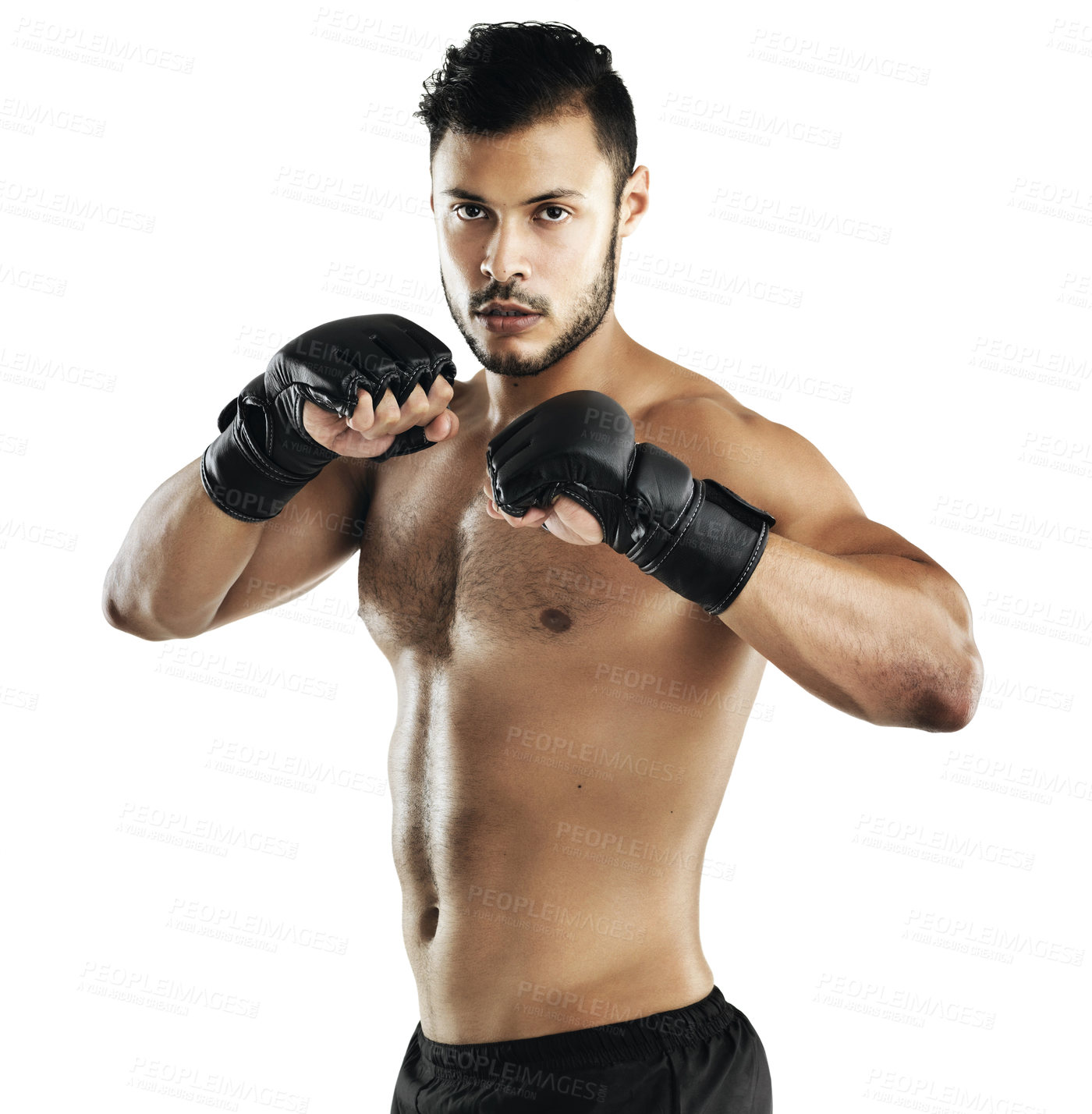Buy stock photo Man, mma and gloves in studio portrait with training, fitness and combat by white background. Person, athlete and martial arts fighter with workout, exercise and ready for contest with contact sport