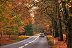 Landscape in autumn