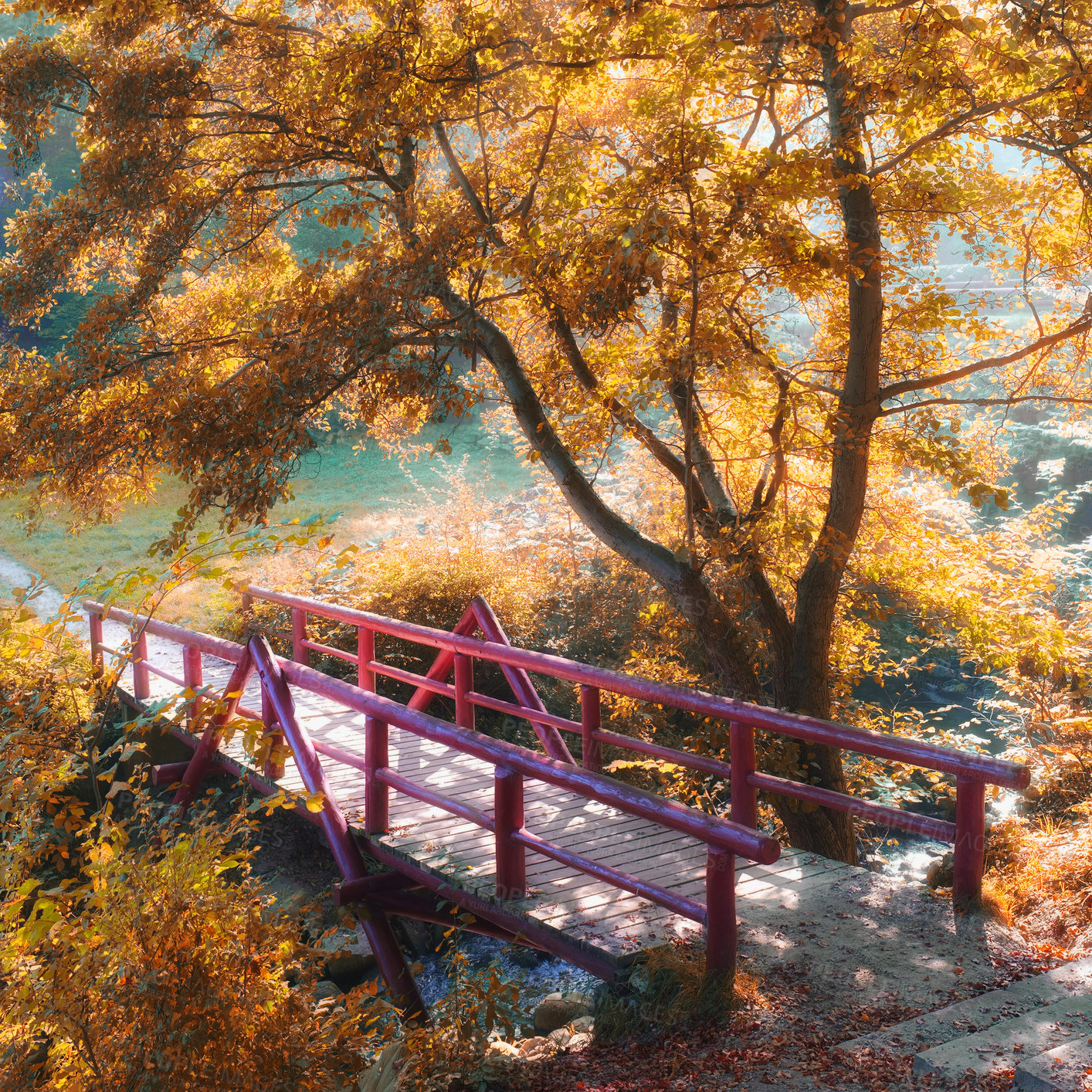 Buy stock photo A photo of a small bridge in the forest