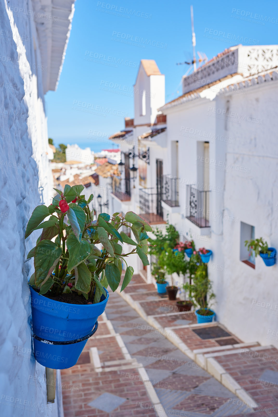 Buy stock photo Buildings, street and flowerpot with travel, architecture and blue sky for holiday with tourism or adventure. Culture, heritage and road with vacation, sightseeing and destination or village in Spain