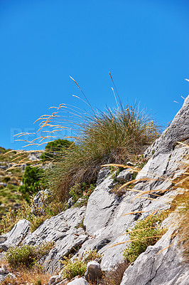 Buy stock photo Blue sky, mountain side or plants in nature for environment, land or travel in Spain. Ancient, flora or heritage in Ronda for habit creation, sustainability or landscape for destination or wallpaper