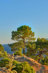 Ronda - the ancient city of Ronda, Andalusia