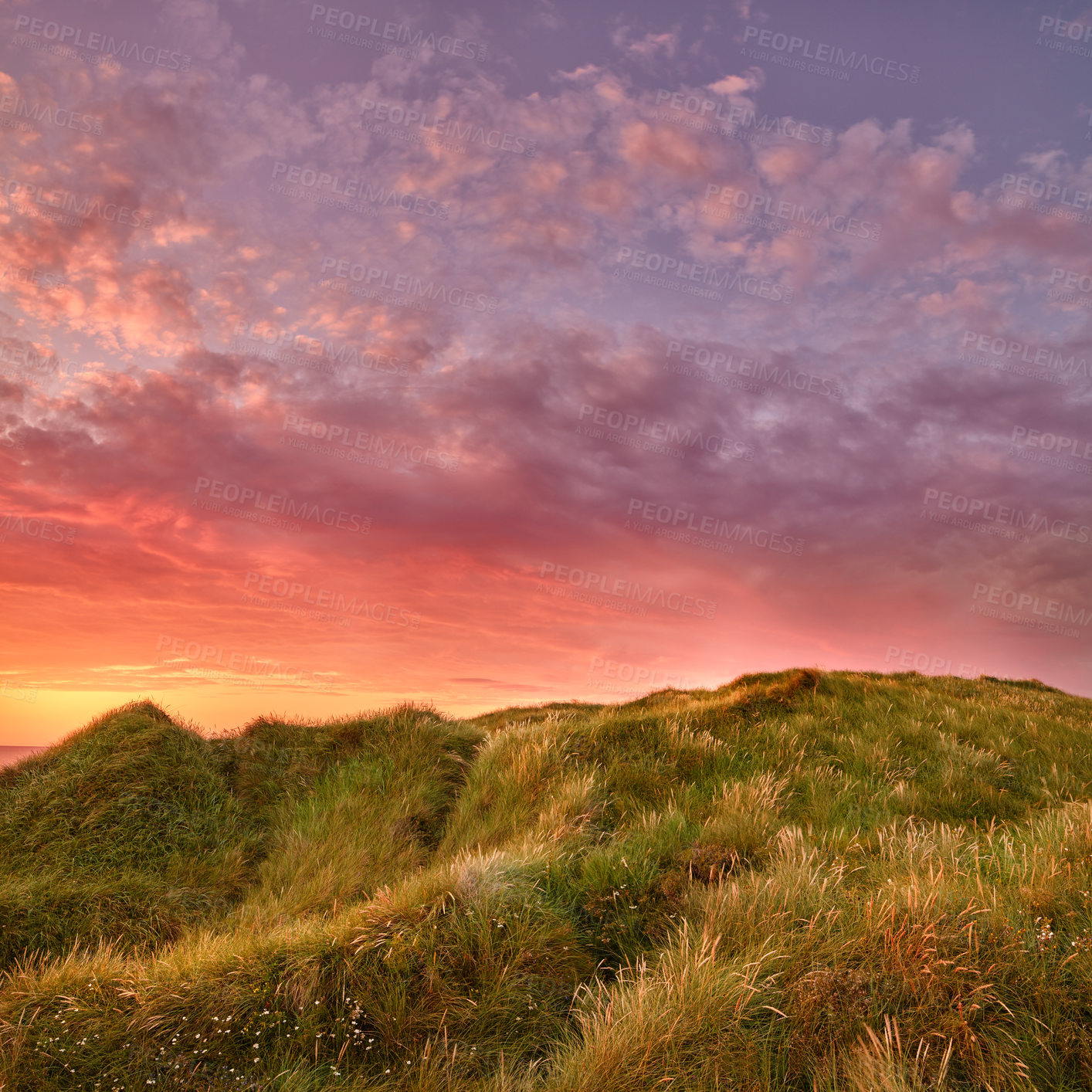 Buy stock photo The beautiful west coast of Jutland - Autumn Denmark