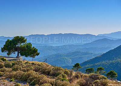 Buy stock photo Landscape, trees and mountain outdoor in nature for travel, vacation or holiday in Spain. Hill, sky and plants in countryside with ancient architecture, cobblestone wall or mockup space in Andalusia