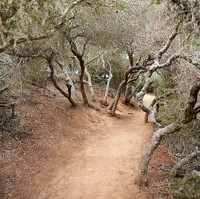 Buy stock photo The beautiful Torrey Pines Park, San Diego, California
