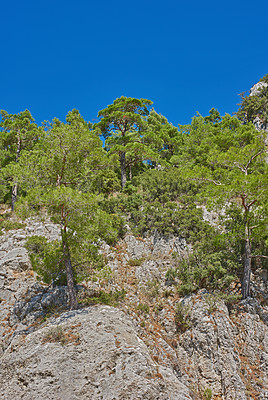 Buy stock photo Trees, blue sky and landscape of nature with cliff for hiking, travel location and adventure in woods. Mockup space, mountain or greenery in natural environment for trekking destination in California