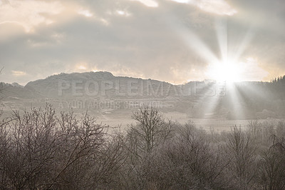 Buy stock photo A winter day with a sunny background and sky copyspace. Landscape view of a cold, snow covered remote land in nature. Bare trees on a vast field and meadow with mountains, hills and copy space 