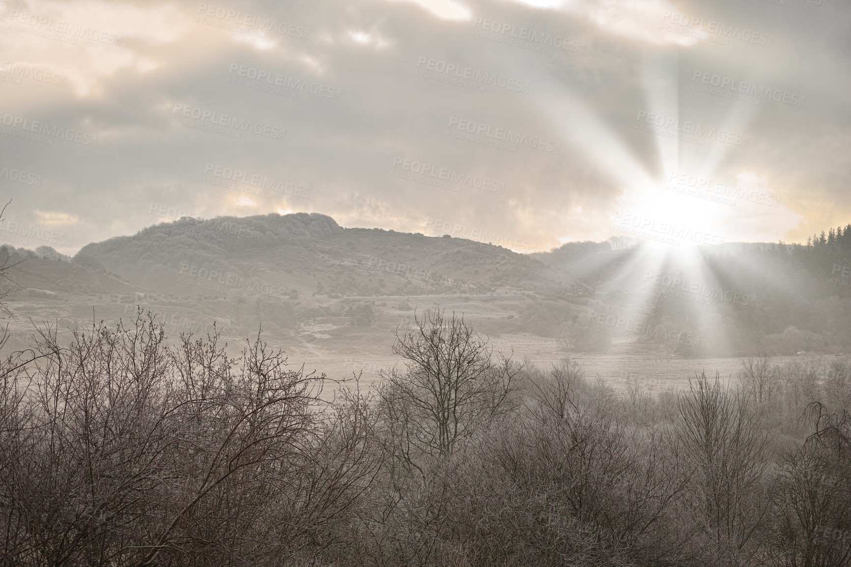 Buy stock photo A winter day with a sunny background and sky copyspace. Landscape view of a cold, snow covered remote land in nature. Bare trees on a vast field and meadow with mountains, hills and copy space 