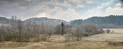 Buy stock photo Landscape view of arid dry remote land in nature during winter. Bare trees on a vast field and meadow with mountains and hills in the background. Exploring mother nature on weekend in recreation hike