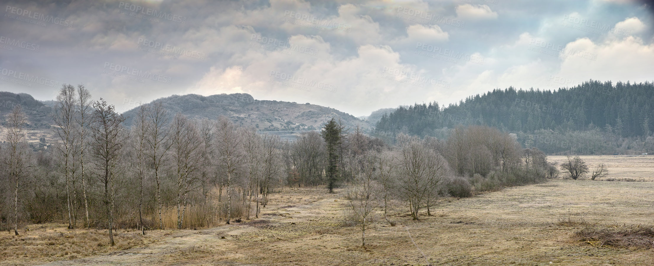 Buy stock photo Landscape view of arid dry remote land in nature during winter. Bare trees on a vast field and meadow with mountains and hills in the background. Exploring mother nature on weekend in recreation hike