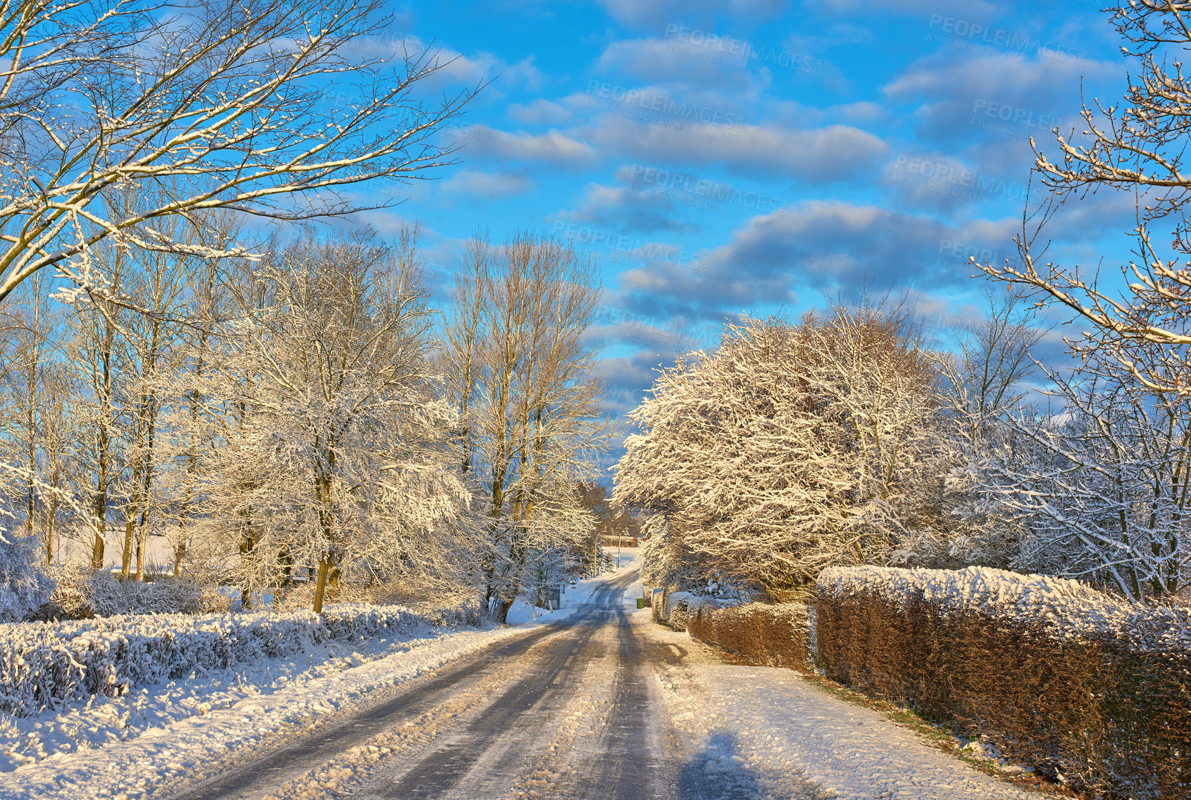 Buy stock photo A snowy road surrounded by bushes and trees on a cold winter day.  An icy motorway in a remote location with nature around. Small town in Denmark with snow and sunny with clouds in the sky