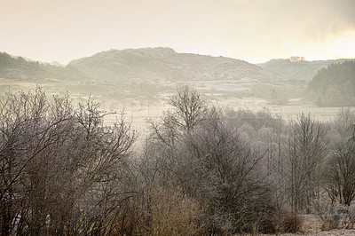 Buy stock photo Landscape of a foggy remote land in nature during winter. Bare dry trees on a vast field and meadow with mountains and hills in the background. Exploring mother nature on weekend in recreation hike