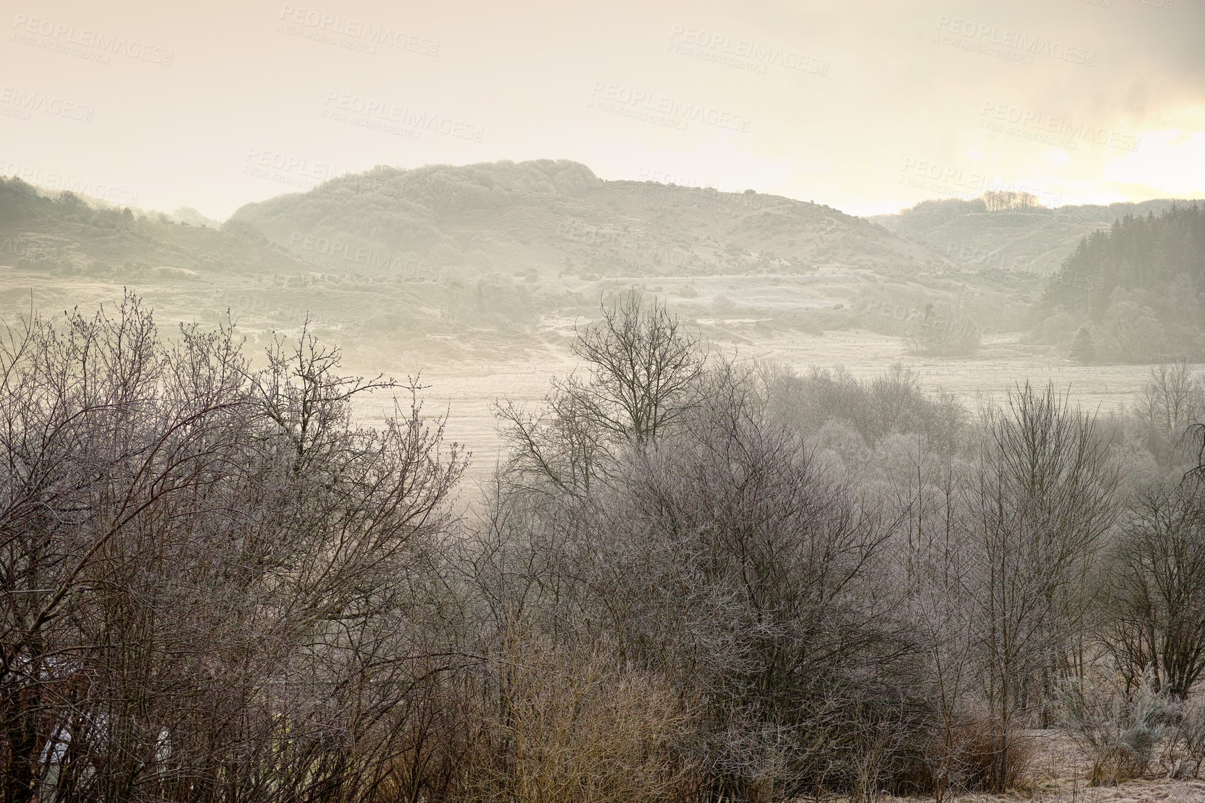 Buy stock photo Landscape of a foggy remote land in nature during winter. Bare dry trees on a vast field and meadow with mountains and hills in the background. Exploring mother nature on weekend in recreation hike