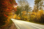 The colors of autumn - Marselisborg Forests