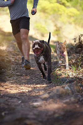 Buy stock photo Shot of a dog running with his owner in the woods