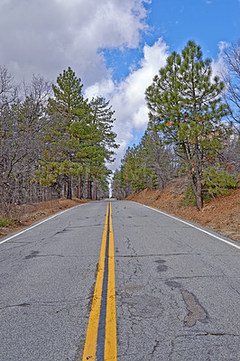 Buy stock photo Empty road, travel and forest for peace in nature, route and weekend trip to countryside on holiday. Street, tourism and freedom destination on vacation, outdoor and journey to New Zealand woods