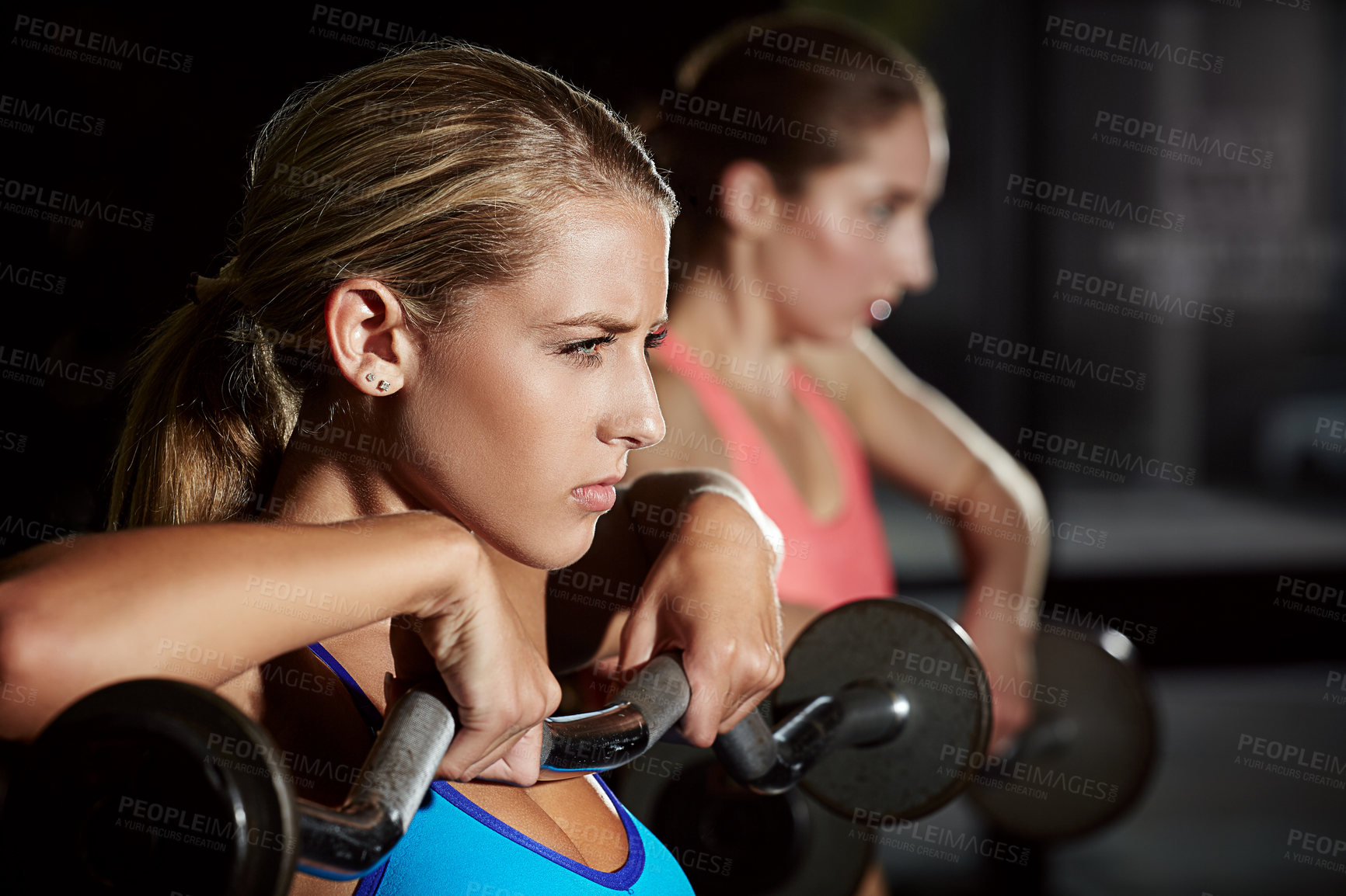 Buy stock photo Shot of two young women working out with weights at the gym