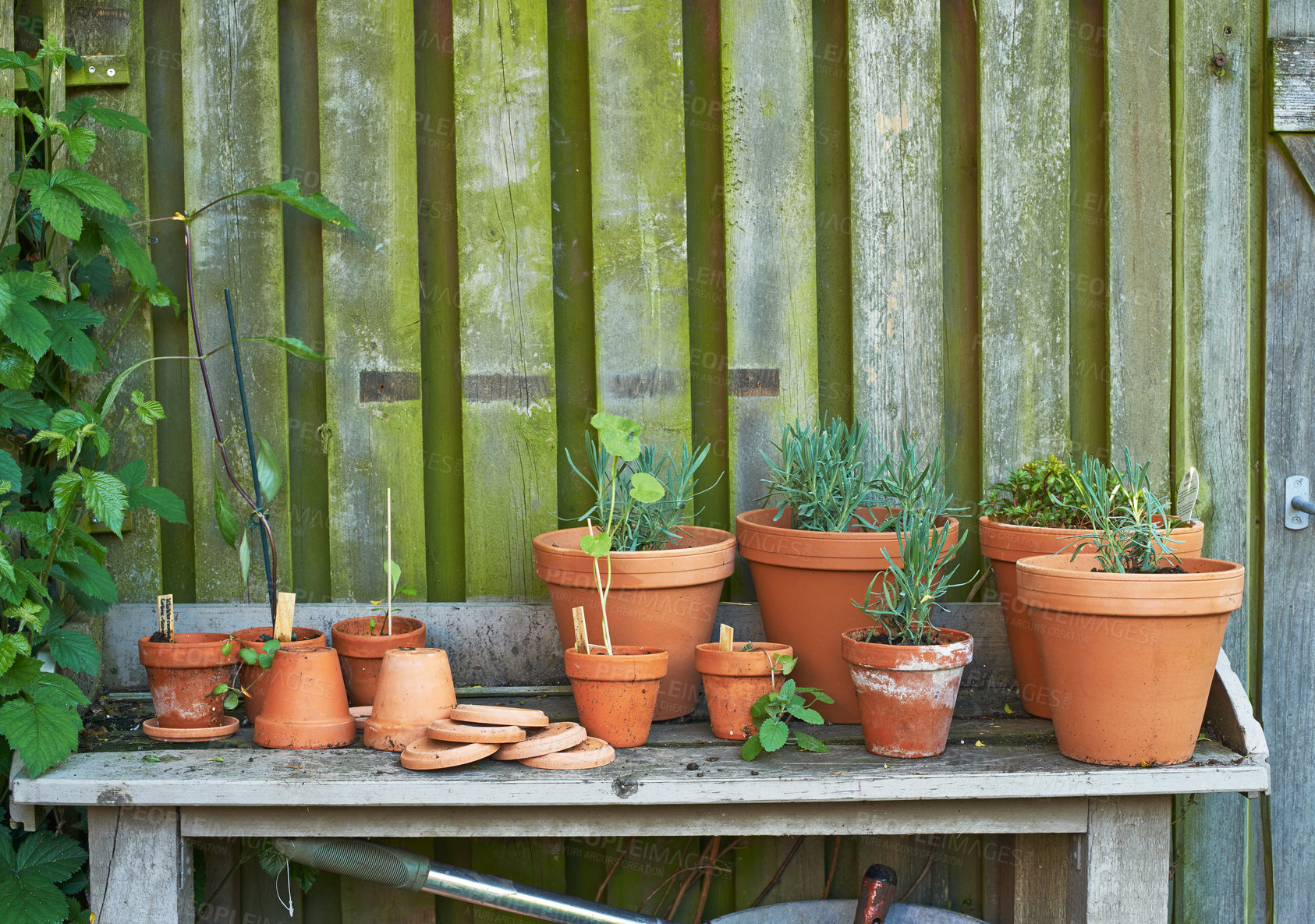 Buy stock photo Stacks of flower pots in a gardener's corner