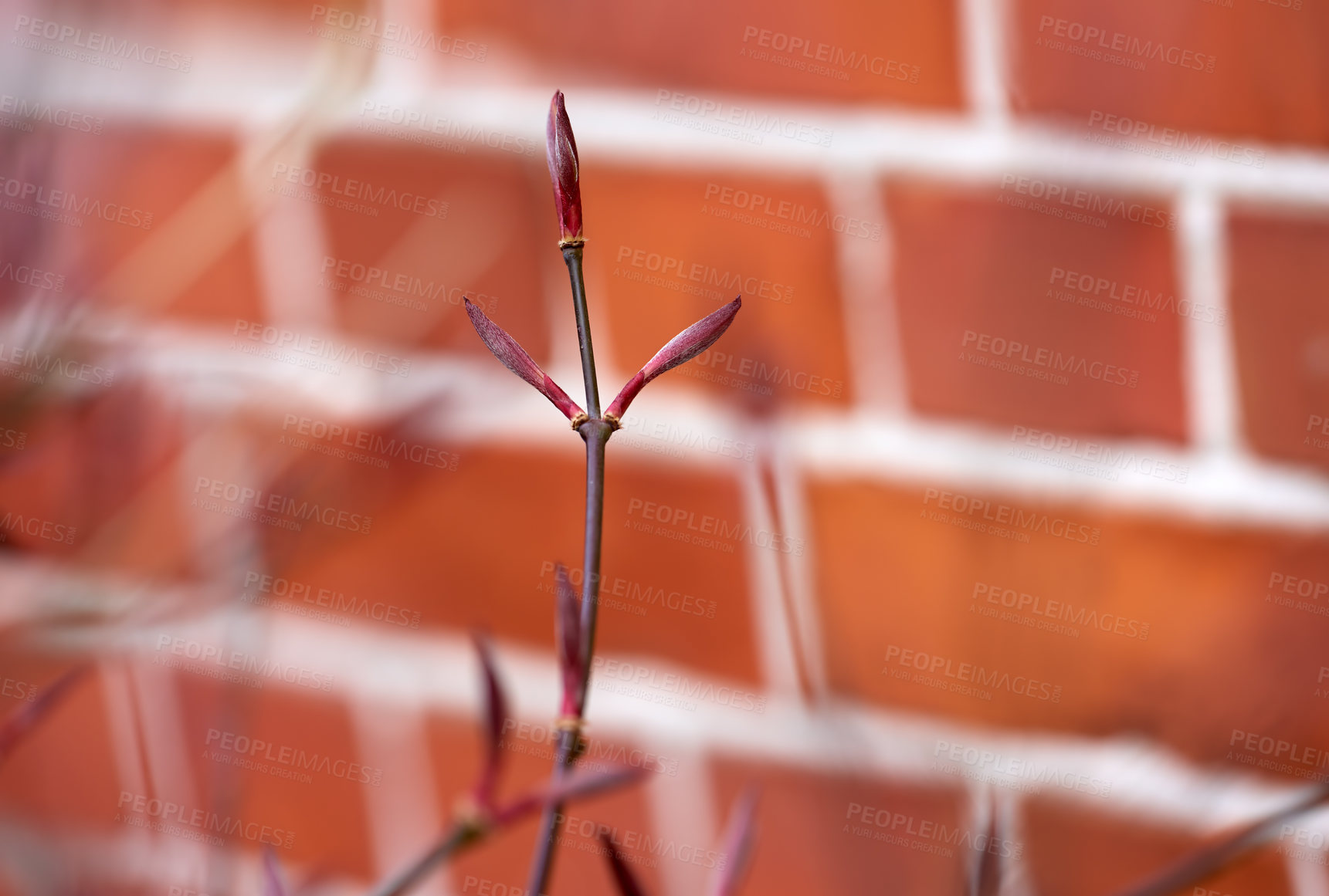 Buy stock photo Brick wall, texture and stone architecture in city for building, concrete and vintage background. Construction, design and wallpaper with cement, outdoor or pattern in mockup space, urban and closeup