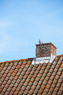 Buy stock photo Bird sitting to nest on red brick chimney on slate roof of house building outside against blue sky background. Construction of exterior escape chute built on rooftop for fireplace smoke and heat