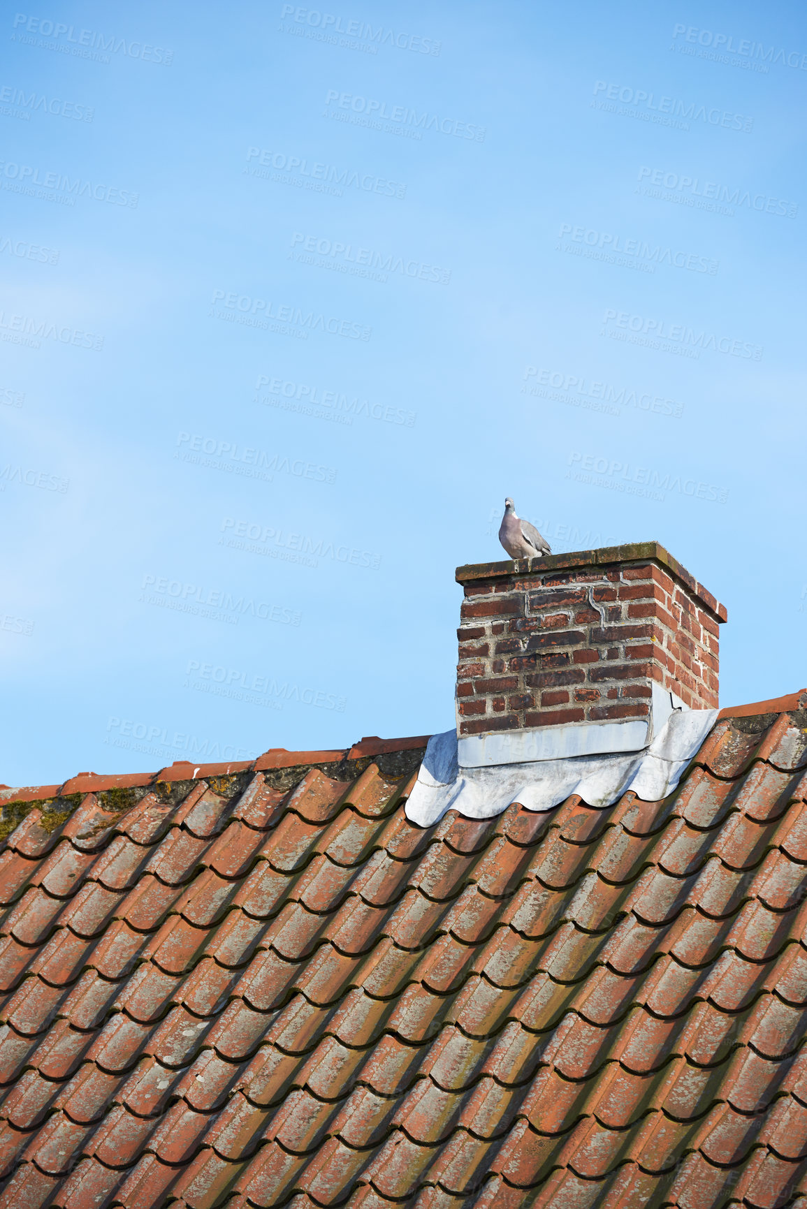 Buy stock photo Bird sitting to nest on red brick chimney on slate roof of house building outside against blue sky background. Construction of exterior escape chute built on rooftop for fireplace smoke and heat