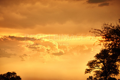 Buy stock photo Shot of the African bush at sunset