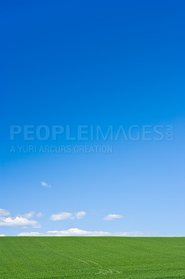 Buy stock photo Farmland in springtime - Jutland, Denmark