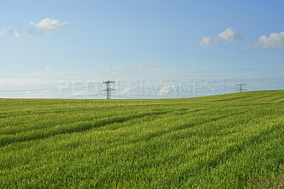 Buy stock photo Grass, field and agriculture on landscape, pylon or clouds in sky with electricity supply in countryside. Meadow, infrastructure and horizon at location, crops and outdoor at farm in Jutland, Denmark