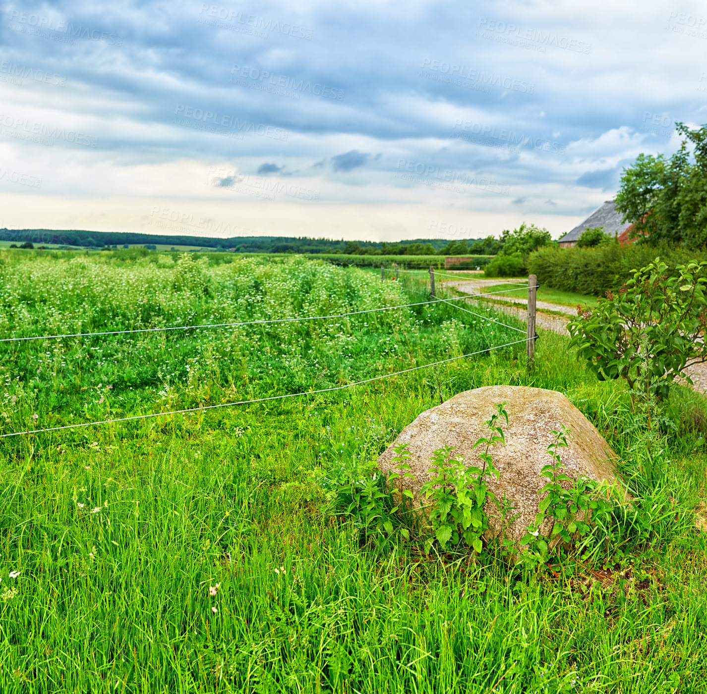 Buy stock photo Nature, landscape and rock in grass, meadow and field for environment, ecosystem and outdoor pathway. Natural background, wallpaper and foliage, plants and trees by fence for countryside farmland