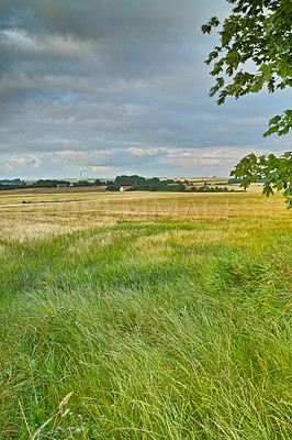 Buy stock photo Nature, landscape and sky with grass in meadow, field and outdoors for environment, ecosystem and earth. Natural background, wallpaper and clouds with trees, plants and ecology for countryside farm