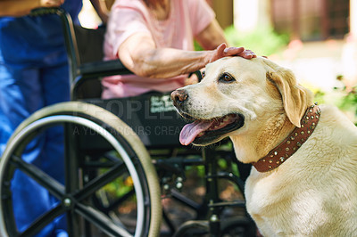 Buy stock photo Shot of a resident, her dog and a nurse outside in the retirement home garden