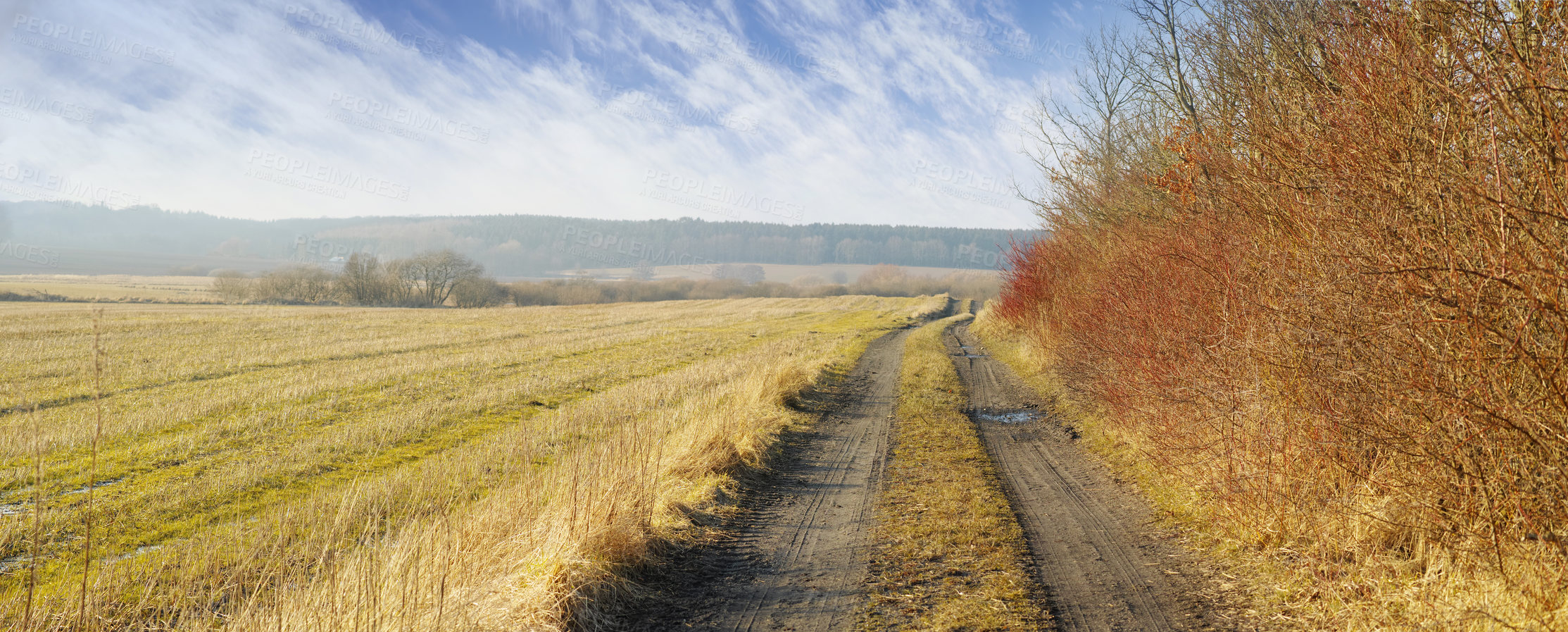 Buy stock photo Muddy dirt road in the countryside near a grass field in Denmark Panorama landscape of a winding country lane through rural farmland in fall against a cloudy horizon. Peaceful and serene nature scene