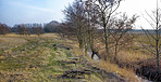 Farmland in early spring