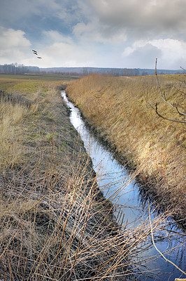 Buy stock photo Copyspace alongside a stream flowing through a wet farm on poorly drained soil in Jutland, Denmark, with birds flying in sky background. Rural landscape of a waterlogged riverbank in a swamp or marsh