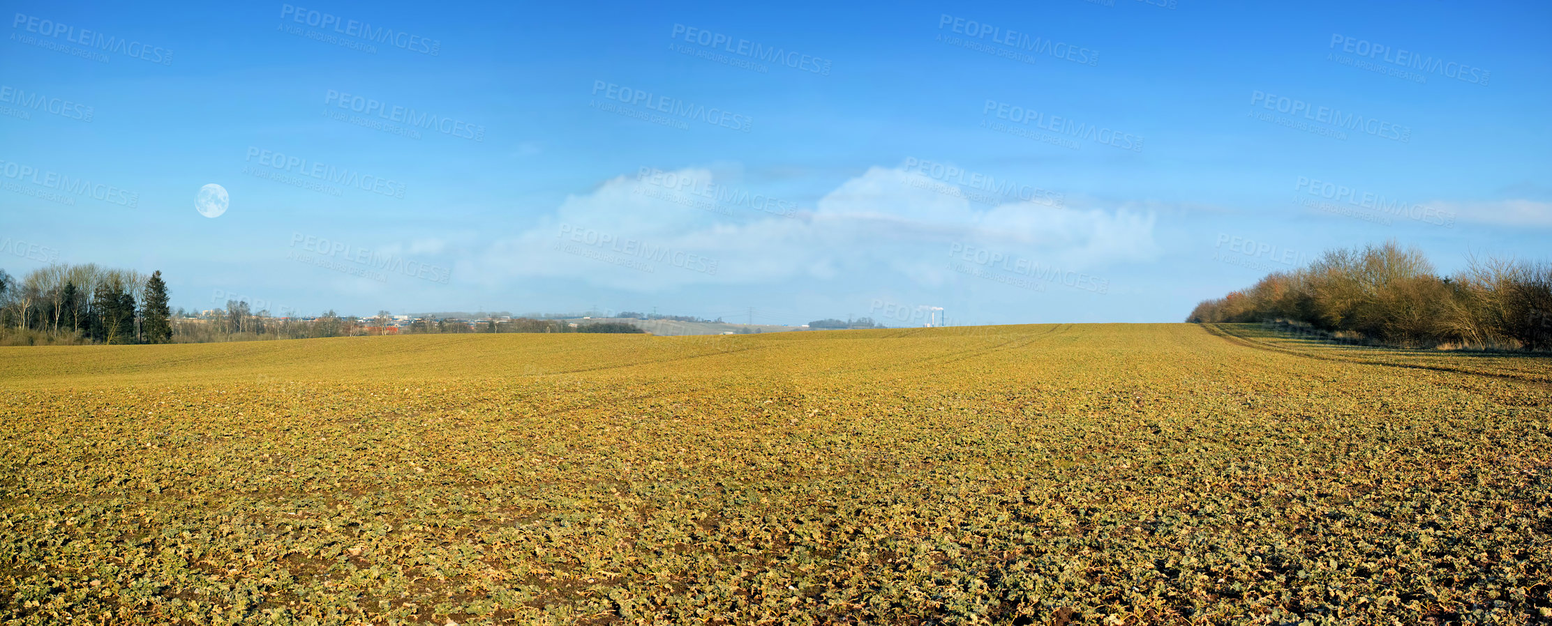 Buy stock photo Wet farmland in early spring in Jutland, Denmark. Landscape view of grassland against cloudy blue sky. Wet agricultural farm in rural area. Empty grassland in summer. Scenic agricultural meadow