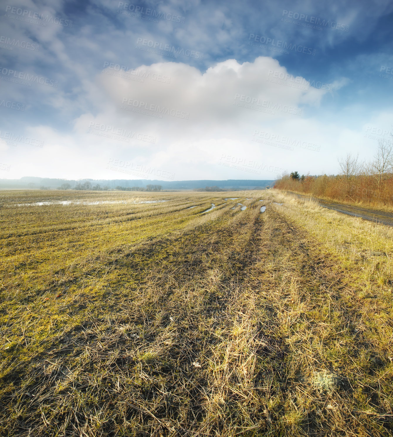 Buy stock photo Wet farmland in early spring in Jutland, Denmark. A grassland with puddles of water against a cloudy blue sky. Landscape with abandoned field wet from the rain
Rainwater on agriculture field 