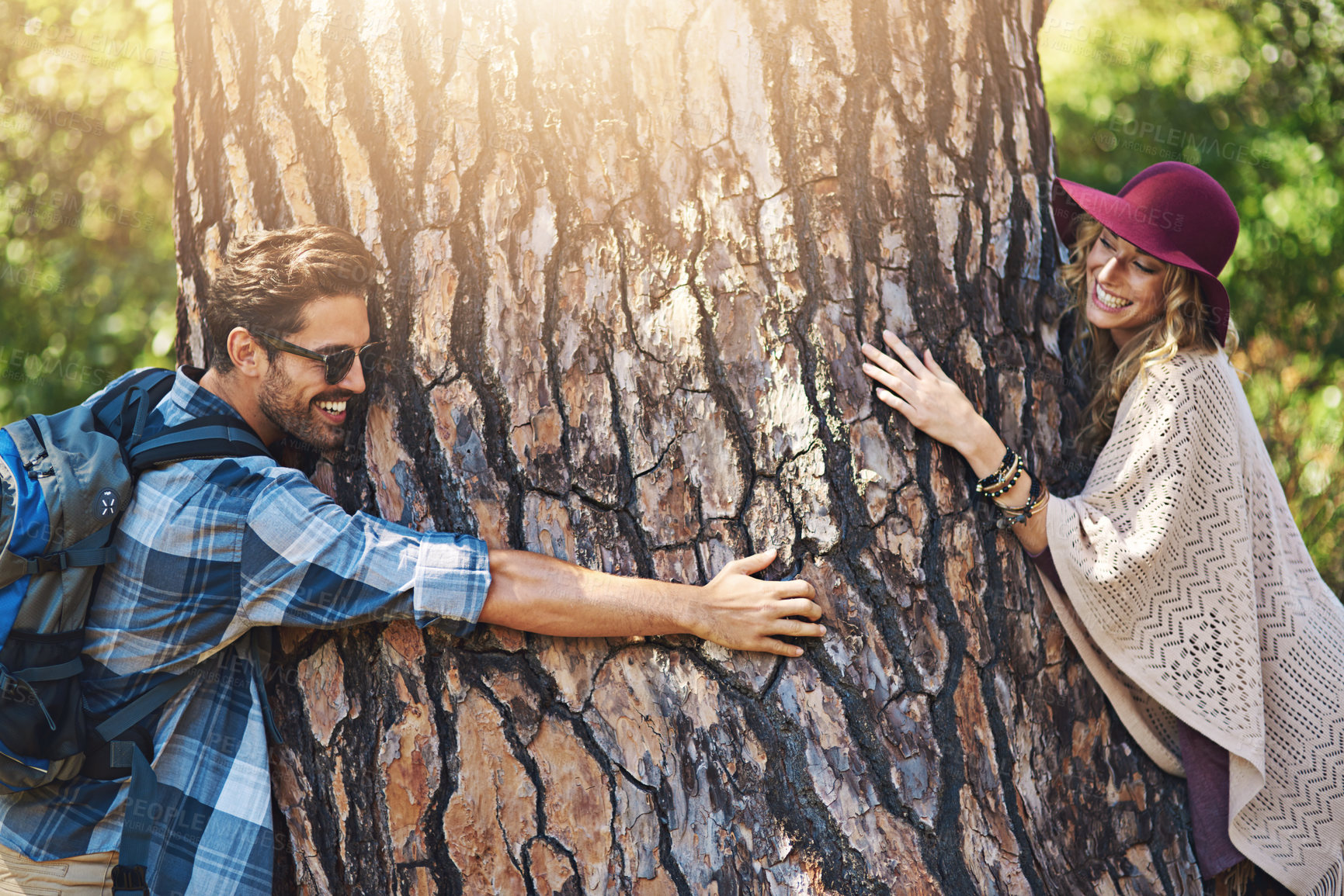 Buy stock photo Couple, hug tree and activists in outdoor nature, sustainability support and love woods together. People, embrace and forest for ecosystem travel adventure, environment care and countryside trekking