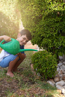 Buy stock photo Child, water plant and portrait in garden for learning responsibility and development. Young boy, kid or children and smile for gardening outdoor, happy, independent or  childhood on grass for play