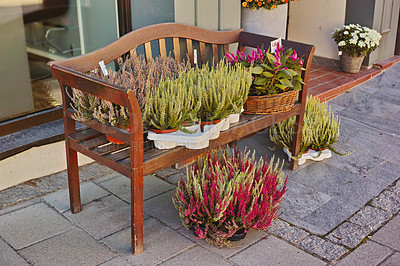 Buy stock photo Bench, outdoor and plants in pot for growth, sustainability or natural ecology by house. Different flowers, furniture and gardening for decor, floral botany and heather or daisy at backyard in France