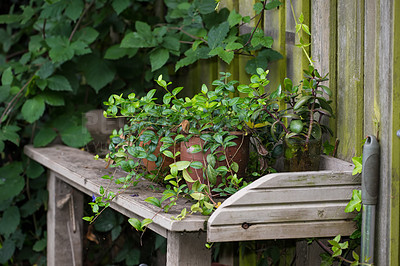 Buy stock photo The private spot of the Gardener - the beauty of garderning 