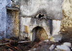 Ruins and old houses