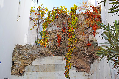 Buy stock photo Ruins, building and plants for growth, nature and rock with brick wall, architecture and outdoor travel. Heritage, concrete and old house for landscape, tourism and natural overgrown in urban town