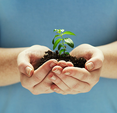 Buy stock photo Shot of hands holding a plant growing out of soil