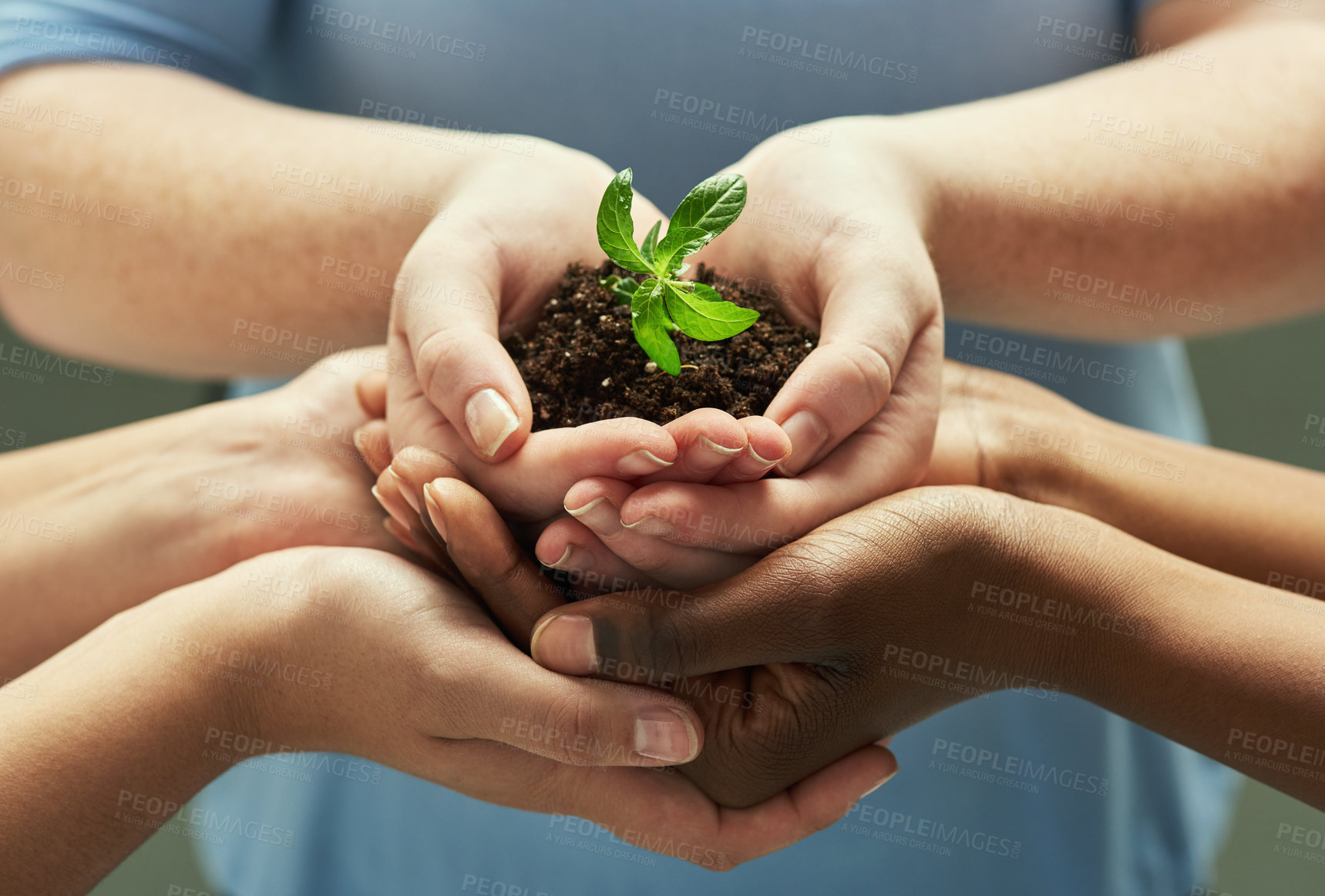 Buy stock photo Shot of a group of hands holding a plant growing out of soil
